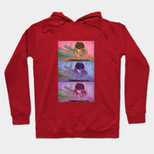 Pink Castle Hoodie